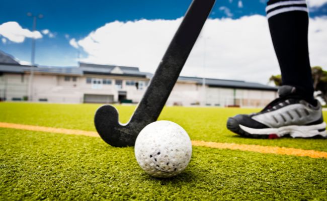 sand-dressed-synthetic-turf sand-dressed-synthetic-turf