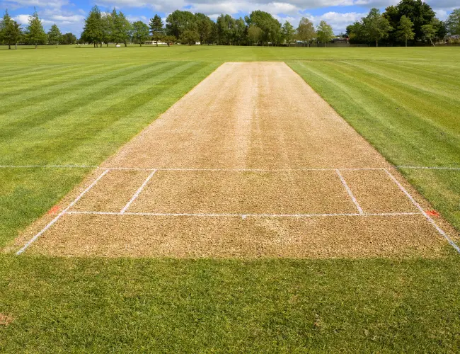 Cricket Crease Cricket Crease